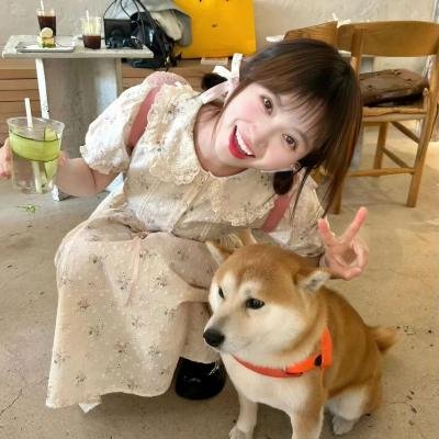 导演请指教
