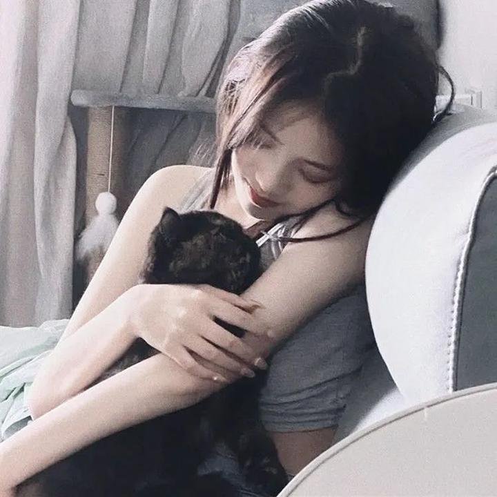 美娇娘探案社